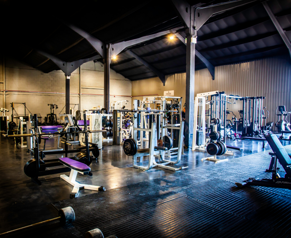 Best Gym in Frome Falcon Fitness A Gym for Every Body